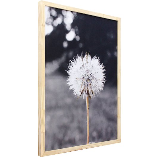 Quadro Decorativo com Impressão Personalizada Flor Dente de Leão 50x70cm