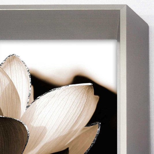 Quadro Decorativo com Moldura Prata Flor de Lótus Noturna em Sépia