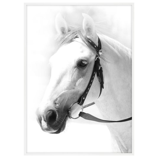 Quadro Decorativo em Preto e Branco Fotografia de Cavalo - Escolha o Tamanho