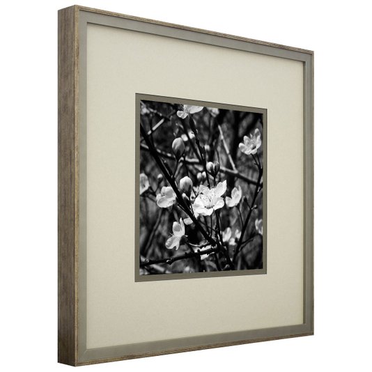 Quadro Decorativo Flor Amendoeira em Preto e Branco 50x50cm