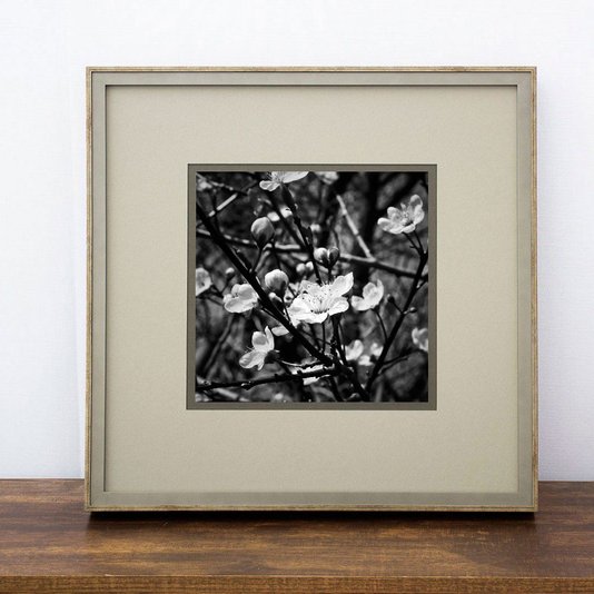 Quadro Decorativo Flor Amendoeira em Preto e Branco 50x50cm