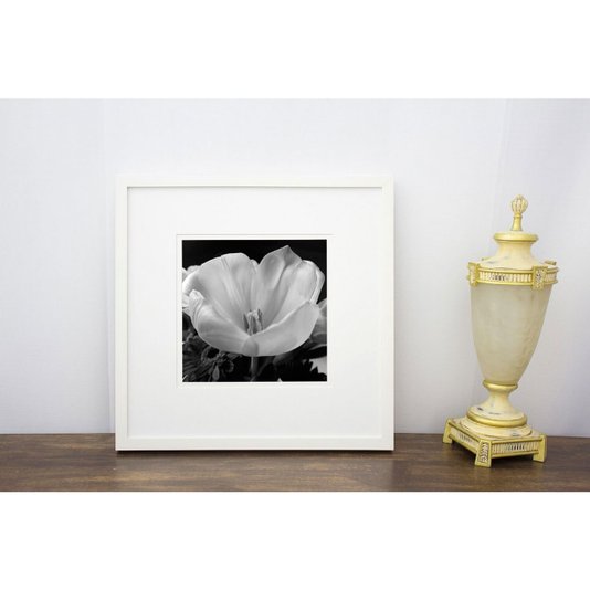 Quadro Decorativo Flor em Preto e Branco com Moldura Branca 50x50cm