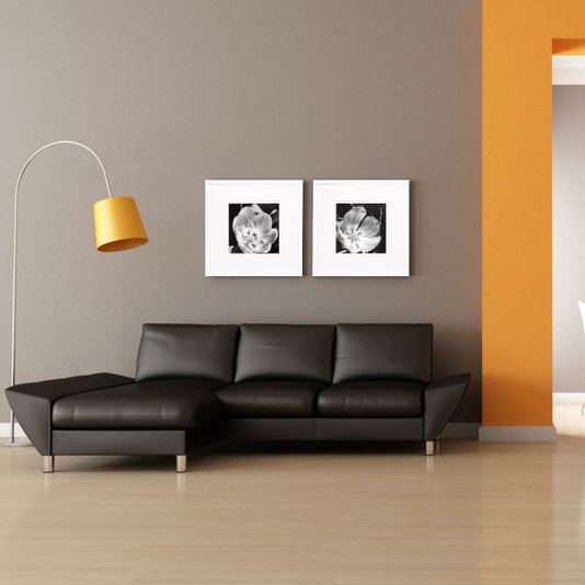 Quadro Decorativo Flor em Preto e Branco com Moldura Laqueada Branca 50x50cm