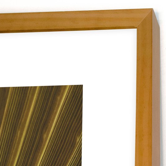 Quadro Decorativo Floral com Moldura Marrom Folha de Palmeira