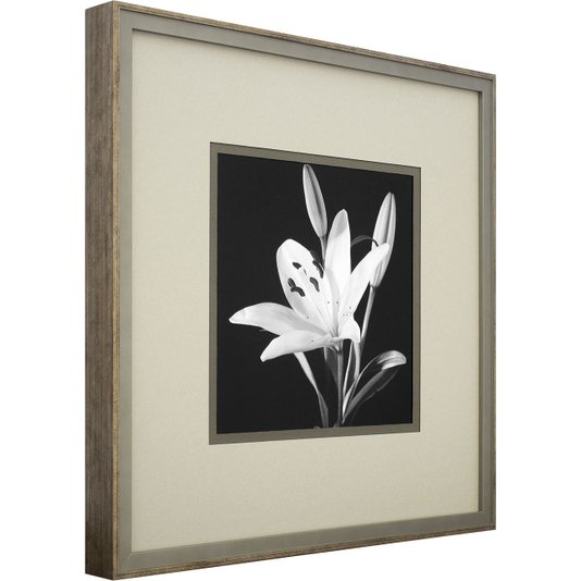 Quadro Decorativo Floral Lírio em Preto e Branco 50x50cm
