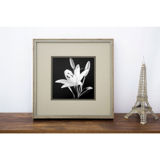 Quadro Decorativo Floral Lírio em Preto e Branco 50x50cm
