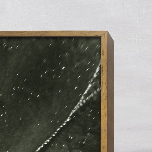 Quadro Decorativo Floral Suculentas Verdes 70x100 cm