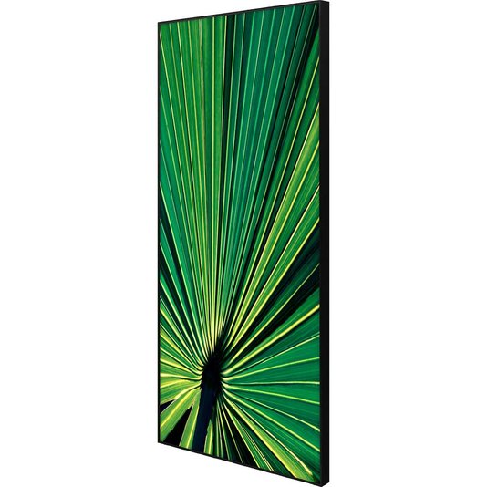 Quadro Decorativo Folha de Palmeira Verde 80x140 cm