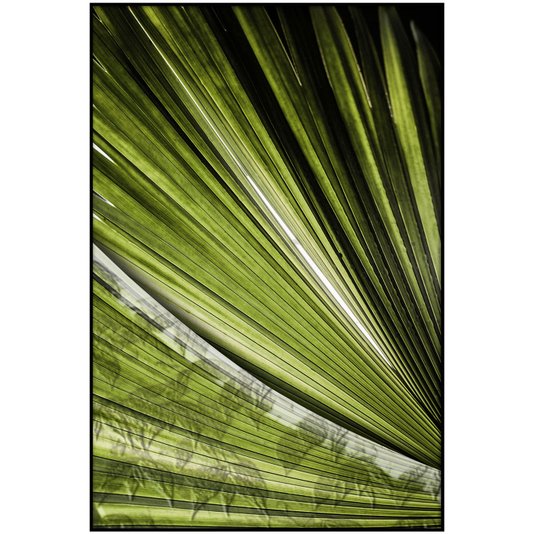 Quadro Decorativo Folha Verde com Moldura Preta 80x120 cm