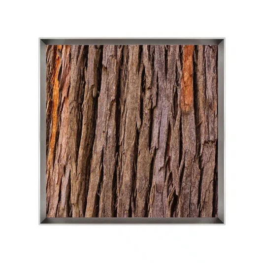 Quadro Decorativo Fotografia Textura Casca de Árvore por Dorival Moreira - Escolha o Tamanho