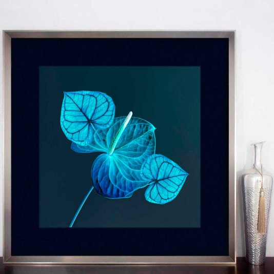 Quadro Decorativo Moderno Flores de Antúrio em Tom Azul 85x85 cm