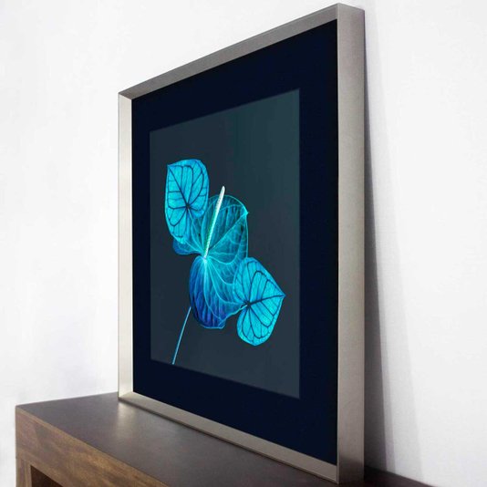 Quadro Decorativo Moderno Flores de Antúrio em Tom Azul 85x85 cm