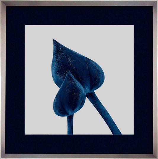 Quadro Decorativo Moderno Par de Botões Flor Tulipa Azul 85x85 cm