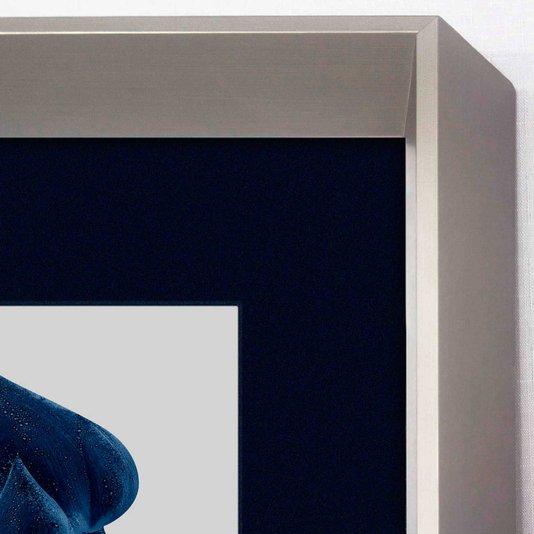 Quadro Decorativo Moderno Par de Botões Flor Tulipa Azul 85x85 cm