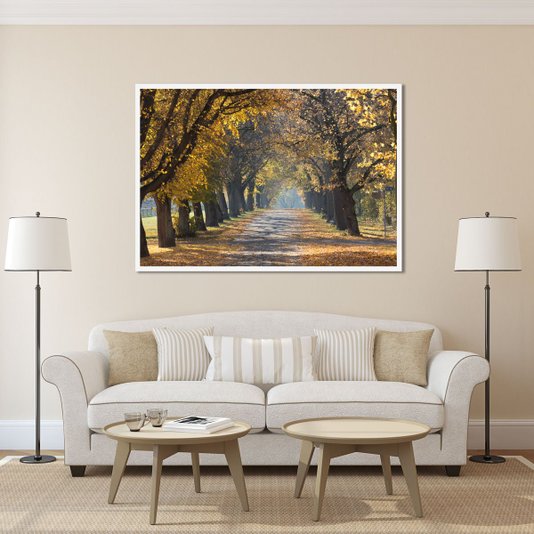 Quadro Decorativo Paisagem de Outono Estrada Ladeada Árvores