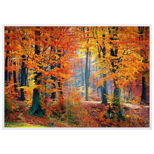 Quadro Decorativo Paisagem Floresta de Outono 120x80cm