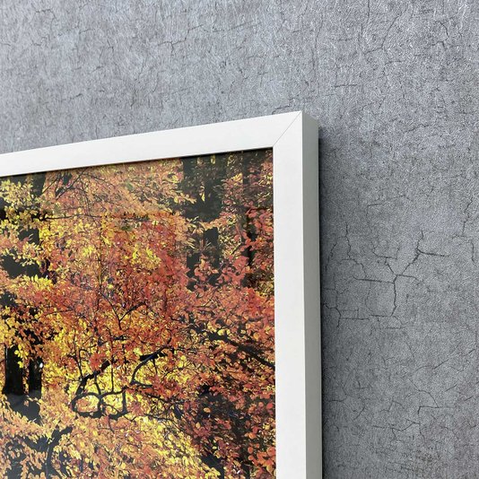 Quadro Decorativo Paisagem Floresta de Outono 120x80cm