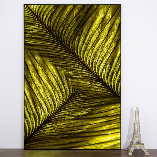 Quadro Decorativo Pena Verde com Moldura Preta 80x120
