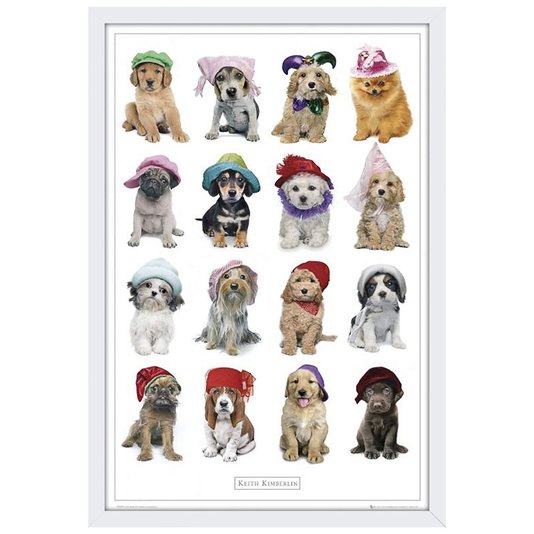 Quadro Decorativo Poster Cachorros Usando Chapéus 64x94cm
