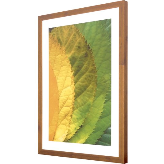 Quadro Decorativo Rústico Arte Folhas Verdes 50x70 cm