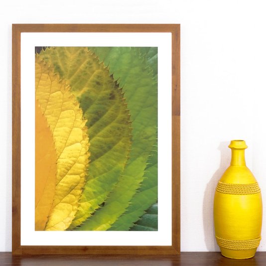 Quadro Decorativo Rústico Arte Folhas Verdes 50x70 cm