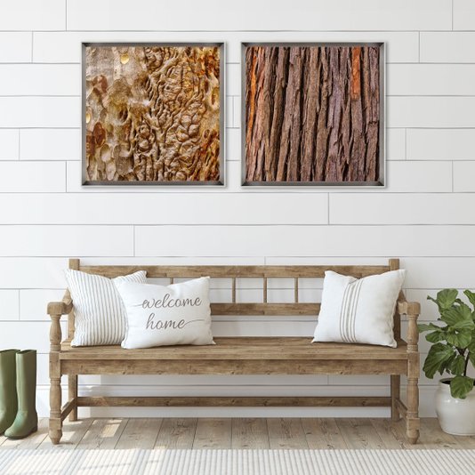 Quadro Decorativo Textura Casca de Árvore por Dorival Moreira - Escolha o Tamanho