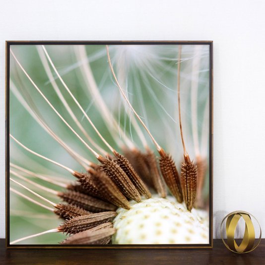 Quadro Dente de Leão em Tela Canvas com Moldura - Elegância na sua Decoração