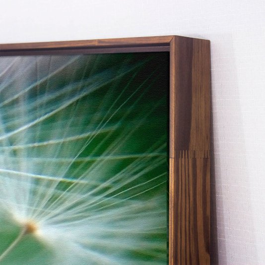 Quadro Decorativo Dente de Leão em Tela Canvas com Moldura Flutuante