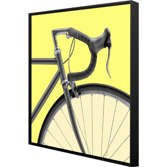 Quadro Dorival Moreira Tela Canvas Bicicleta Speed Pop Art