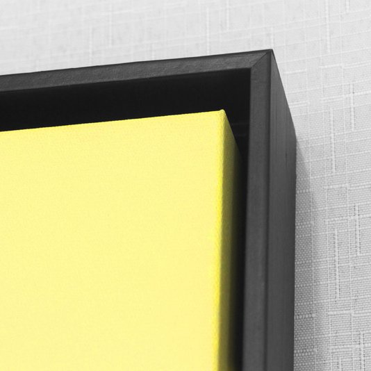Quadro Dorival Moreira Tela Canvas Bicicleta Speed Pop Art