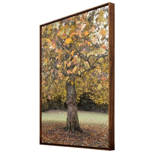 Tela canvas com moldura escadinha.