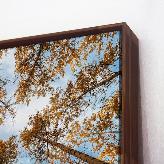 Quadro em Tela Canvas com Moldura Galhos de Árvores - Escolha o Tamanho