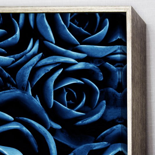 Quadro Floral Azul em Tela Canvas Planta Suculenta III - 70x70cm