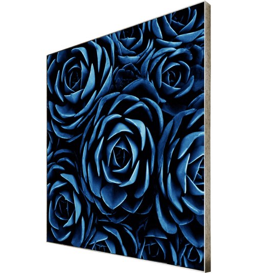 Quadro Floral Azul em Tela Canvas Planta Suculenta III - 70x70cm