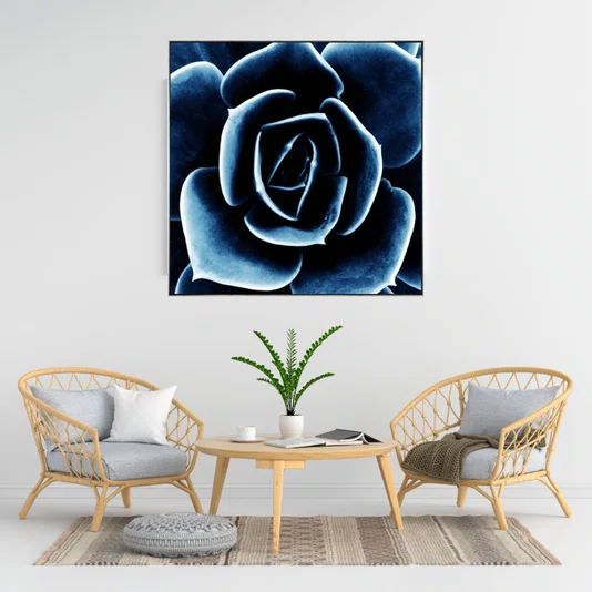 Quadro Floral Azul em Tela Canvas Planta Suculenta II - 70x70cm