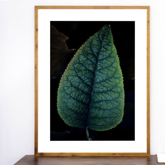 Quadro Floral Rústico Folha Verde 90x120cm
