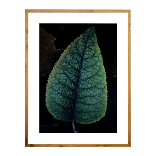 Quadro Floral Rústico Folha Verde 90x120cm