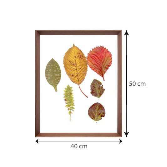 Quadro Folhas de Outono com Moldura Chanfrada Marrom 40x50cm