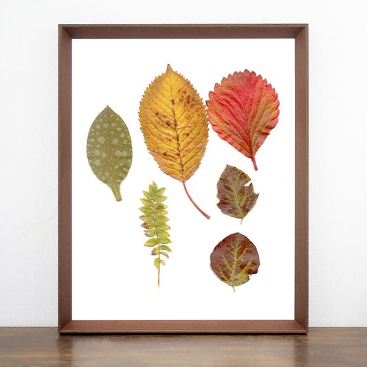 Quadro Folhas de Outono com Moldura Chanfrada Marrom 40x50cm
