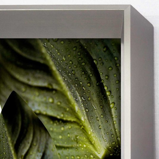 Quadro Grande Decorativo com Moldura Robusta Prata Chanfrada Imagem Folhas Verdes