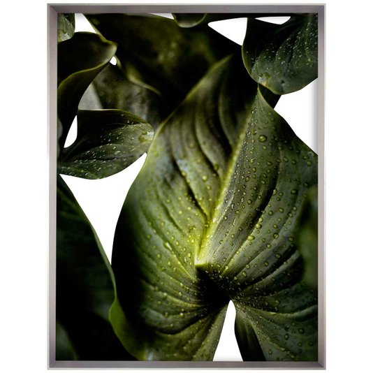 Quadro Grande Decorativo Folhas Verdes com Moldura Robusta Prata Chanfrada