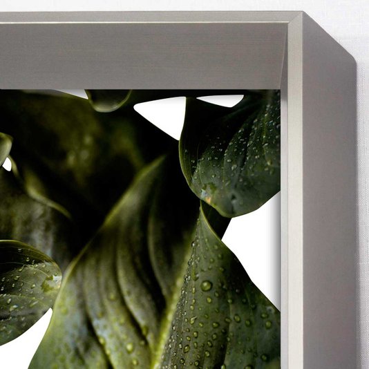 Quadro Grande Decorativo Folhas Verdes com Moldura Robusta Prata Chanfrada