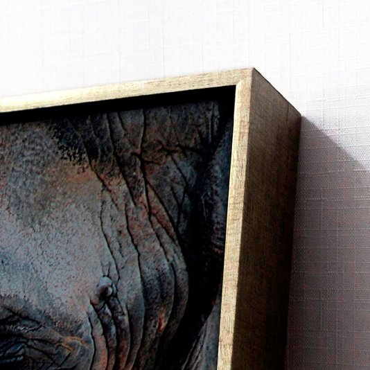 Quadro Grande Elefante em Tela Canvas com Moldura Prata - Imponência e Sofisticação