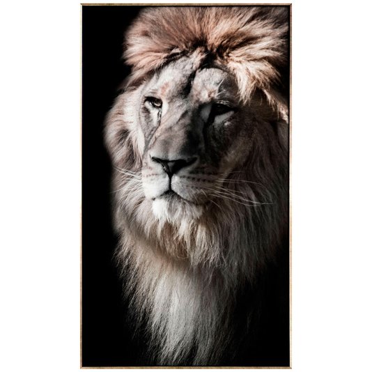 Quadro Grande Leão em Tela Canvas com Moldura Prata 120x210 cm