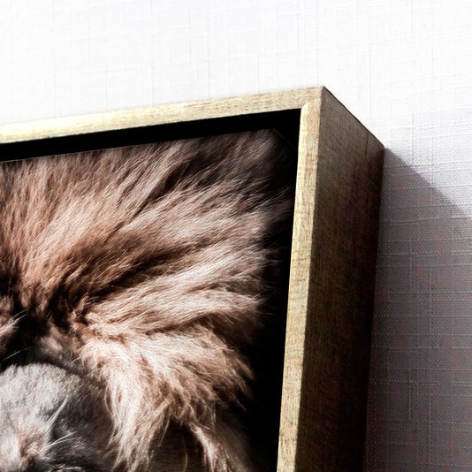 Quadro Grande Leão em Tela Canvas com Moldura Prata - Força e Sabedoria na Sua Decor