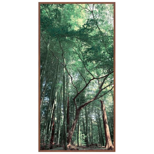 Quadro Grande Moldura Rústica Paisagem Floresta Verde 100x200cm