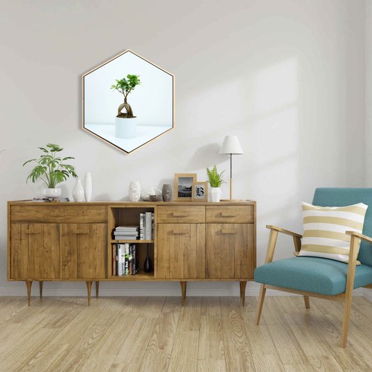 Quadro Hexagonal Decorativo Tela Canvas Vasinho com Bonsai