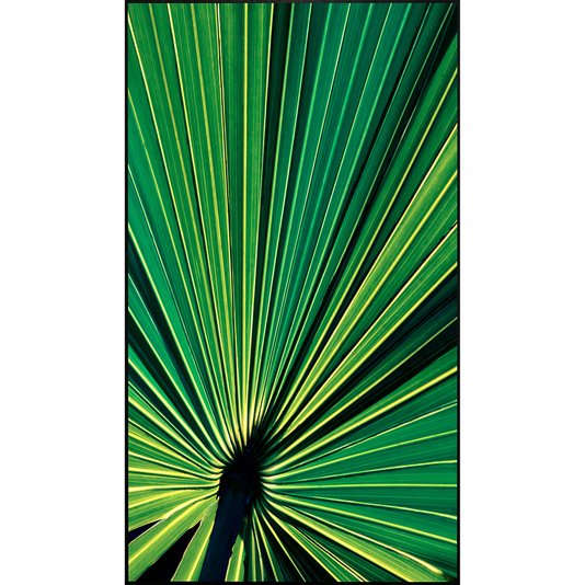 Quadro Impressão em Vidro Folha de Palmeira Verde 80x140 cm