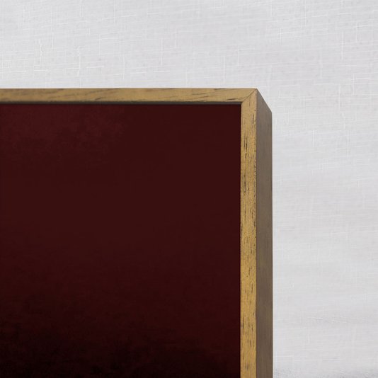 Quadro Moderno Decorativo Floral Suculenta Marsala 60x60 cm