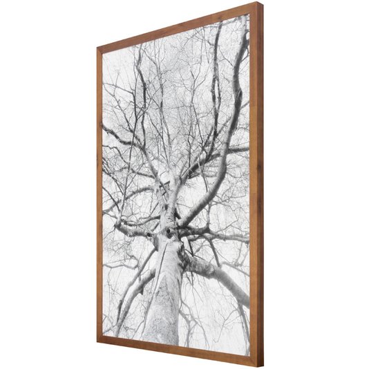 Quadro Rústico Decorativo Árvore em Preto e Branco 70x100 cm